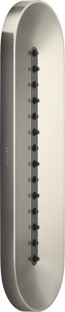 KOHLER Vibrant&reg; Polished Nickel Single Function Body Spray 