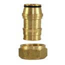 1 PROPEX FITTING ASSEMBLY FOR COMMERCIAL MANIFOLD R25 THREAD 