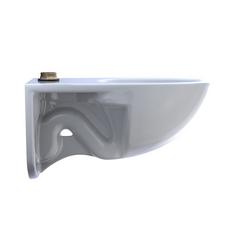 Elongated Wall Mount Toilet in Cotton White