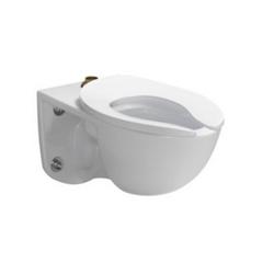 Elongated Wall Mount Toilet in Cotton White