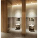 TOTO Cotton 1.28 gpf Elongated Wall Mount Toilet 