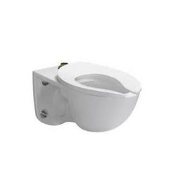 Elongated Wall Mount Toilet for Reclaimed Water in Cotton