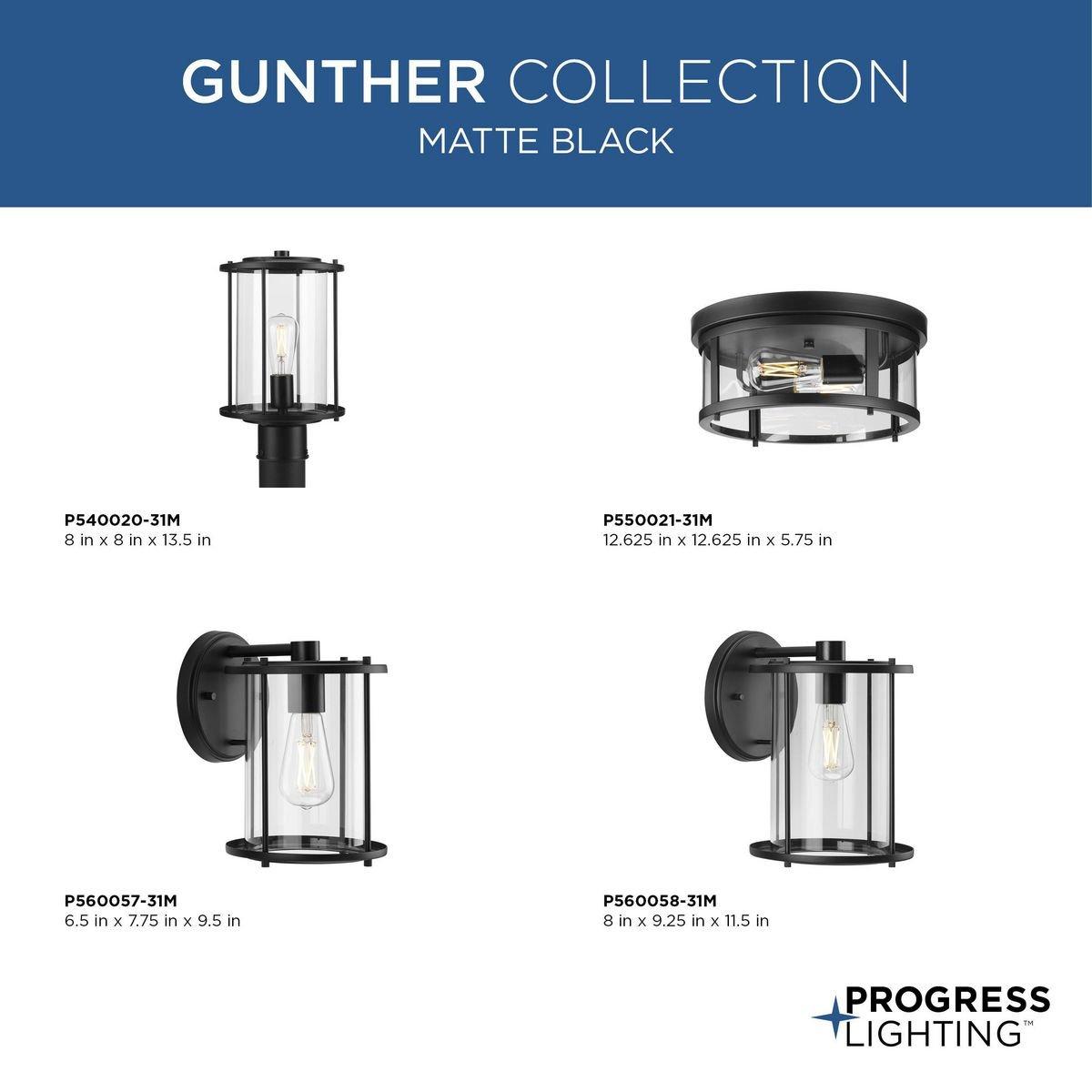 GUNTHER TWO-LIGHT MATTE BLACK MODERN FARMHOUSE FLUSH MOUNT LIGHT 