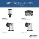 GUNTHER TWO-LIGHT MATTE BLACK MODERN FARMHOUSE FLUSH MOUNT LIGHT 