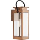Progress Lighting Antique Copper 1-Light 100W Medium Outdoor Wall Sconce Lantern 
