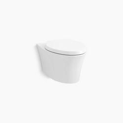 Wall Hung Elongated One Piece Toilet in White