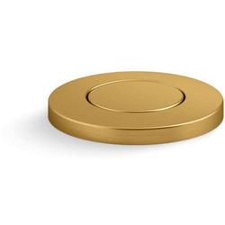 Control Box and Disposer Air Switch in Vibrant&reg; Brushed Moderne Brass