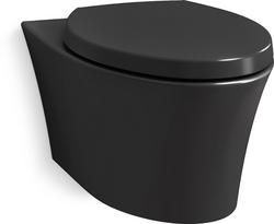 Dual Flush Elongated One Piece Toilet in Black Black