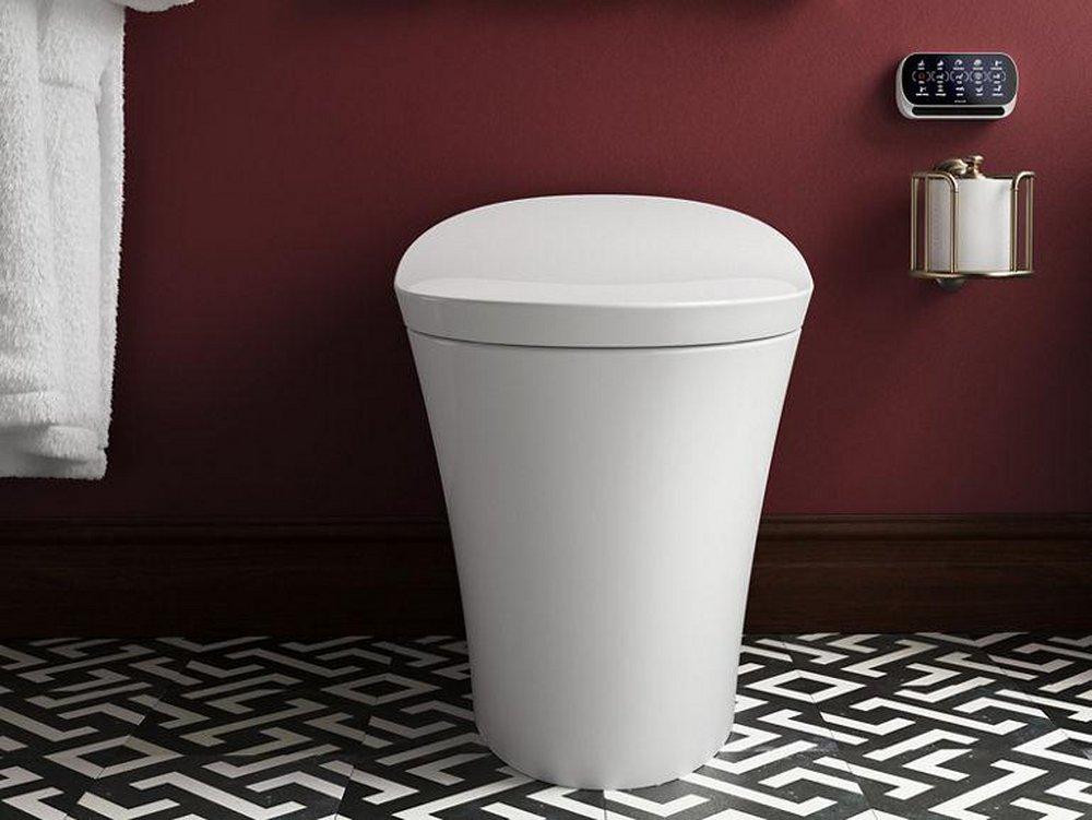 KOHLER Black Black Dual Flush Elongated One Piece Toilet 