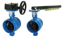 2-1/2 in. Ductile Iron Grooved EPDM Lever Handle Butterfly Valve