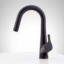 Signature Hardware Matte Black Single Handle Monoblock Bathroom Sink Faucet 