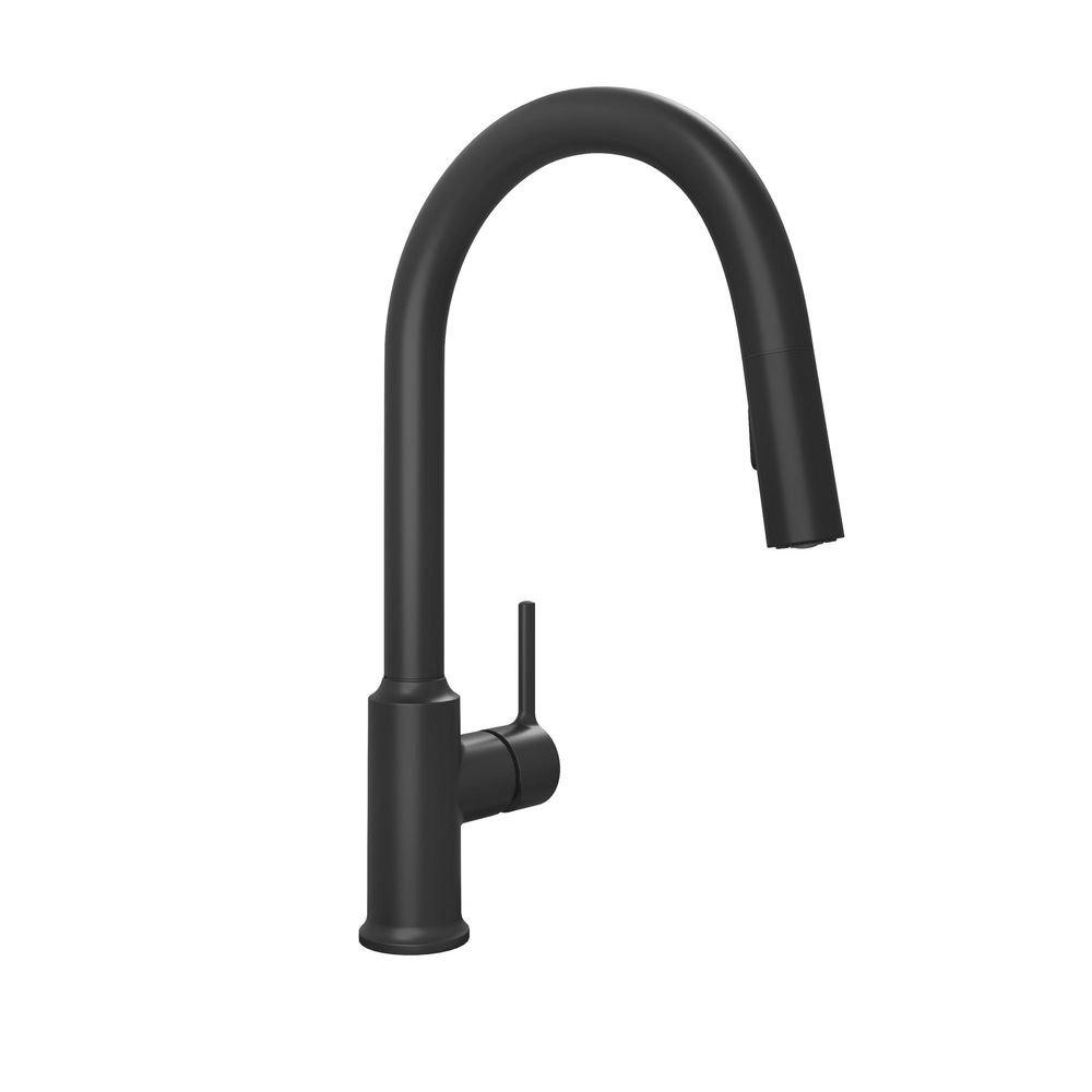 PROFLO&reg; Matte Black Single Handle Pull Down Kitchen Faucet 