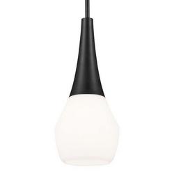 75W 1-Light Medium E-26 Pendant Light in Black