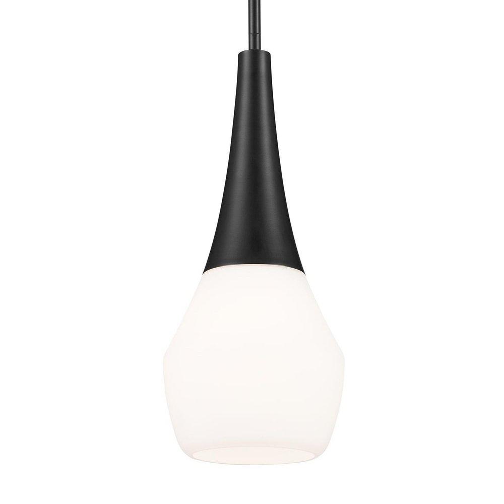 Kichler Lighting Black 75W 1-Light Medium E-26 Pendant Light 
