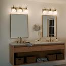 60W 3-Light Candelabra E-12 Vanity Fixture in Black 