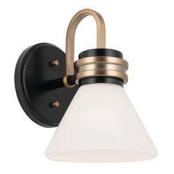 60W 1-Light 9-1/2 in. Wall Sconce in Black