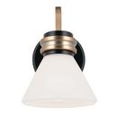 60W 1-Light 9-1/2 in. Wall Sconce in Black 