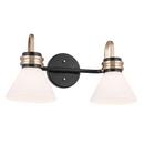 60W 2-Light Medium E-26 Vanity Fixture in Black