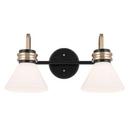 60W 2-Light Medium E-26 Vanity Fixture in Black 