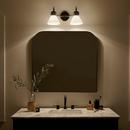 60W 2-Light Medium E-26 Vanity Fixture in Black 
