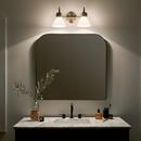 60W 2-Light Medium E-26 Vanity Fixture in Black 
