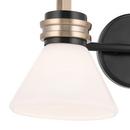 60W 2-Light Medium E-26 Vanity Fixture in Black 