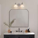 60W 2-Light Medium E-26 Vanity Fixture in Black 