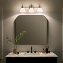 60W 3-Light Medium E-26 Vanity Fixture in Black 