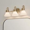 60W 3-Light Medium E-26 Vanity Fixture in Black 