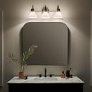60W 3-Light Medium E-26 Vanity Fixture in Black 