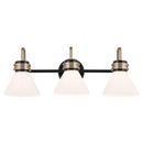 60W 3-Light Medium E-26 Vanity Fixture in Black 