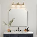 60W 3-Light Medium E-26 Vanity Fixture in Black 