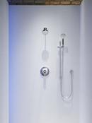 Multi Function Hand Shower in Vibrant Brushed Moderne Brass 