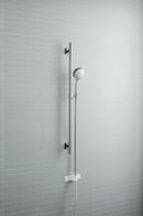 Multi Function Hand Shower in Vibrant Brushed Moderne Brass 
