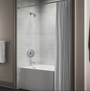 REMODEL B&S TRIM 1.75 GPM 