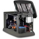 18kW Propane & Natural Gas Air-Cooled Standby Generator 