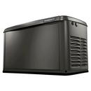 18kW Propane & Natural Gas Air-Cooled Standby Generator 