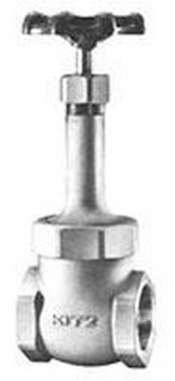 1-1/2 in. Cast Bronze Threaded Gate Valve