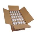 9.W A19 LED 4000K MEDIUM BASE 220 DEG. BEAM SPREAD 100PACK 