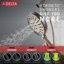 Delta Faucet Lumicoat Stainless Multi Function Hand Shower 