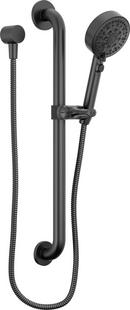 PEERLESS PRECEPT: ADA HAND SHOWER 