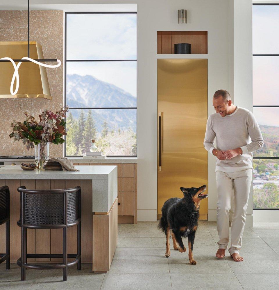 DESIGNER COLLECTION BRASS HANDLE 