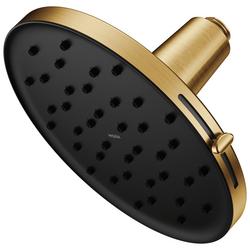 Dual Function Showerhead in Brushed Gold