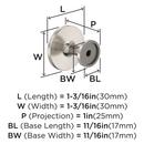 EVERYDAY TRANSITIONAL 1-3/16 IN 30 MM DIAMETER SATIN NICKEL CABINET KNOB SN 