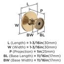 EVERYDAY TRANSITIONAL 1-3/16 IN 30 MM DIAMETER CHAMPAGNE BRONZE CABINET KNOB CHBR 