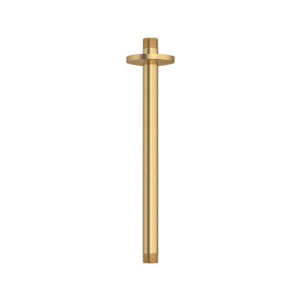 American Standard Brushed Cool Sunrise 2-1/2 x 1/2 in. NPT Brass Rainhead Arm 