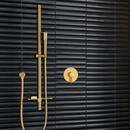 GROHE Gold Single Handle Pressure Balancing Valve Trim 