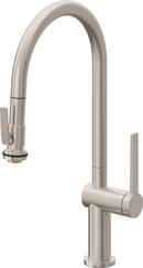 Single Handle Pull Down Kitchen Faucet in Black Nickel
