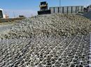 Tensar Polytechnologies 262-1/2 in. Grid 
