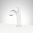 Single Handle Swivel Kitchen Faucet in Chrome